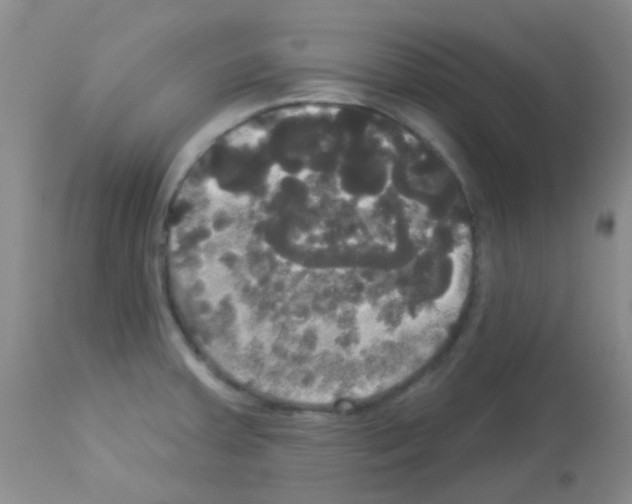 X0000113081379200910091221