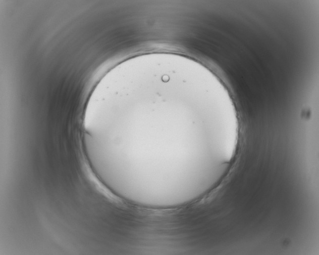 X0000113081381200910091221