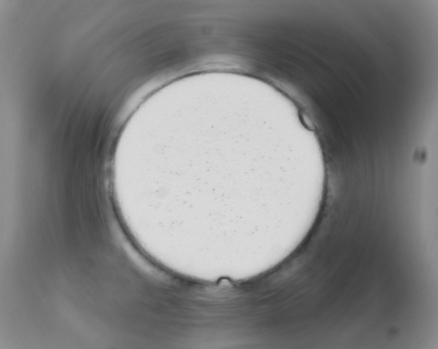 X0000113081383200910091221