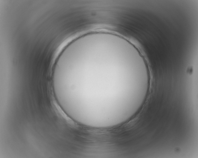 X0000113081384200910091221