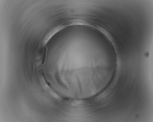 X0000113081385200910091221