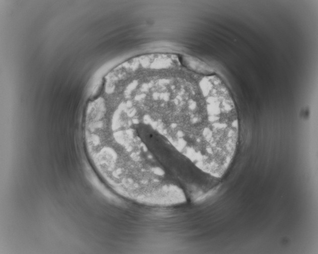 X0000113081387200910091221