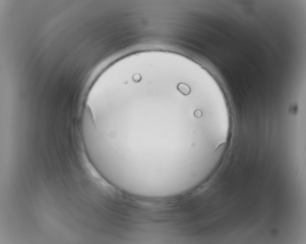 X0000113081388200910091221