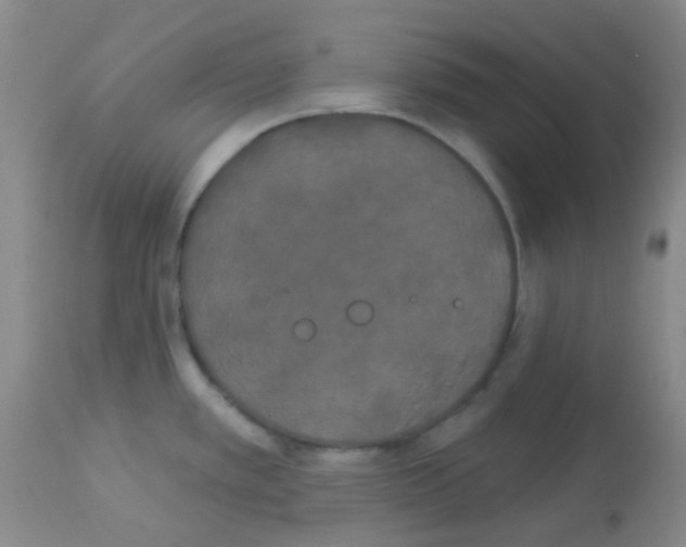X0000113081389200910091221