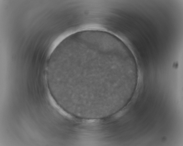 X0000113081390200910091221