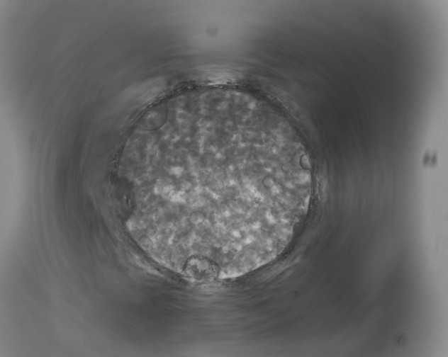 X0000113081393200910091220