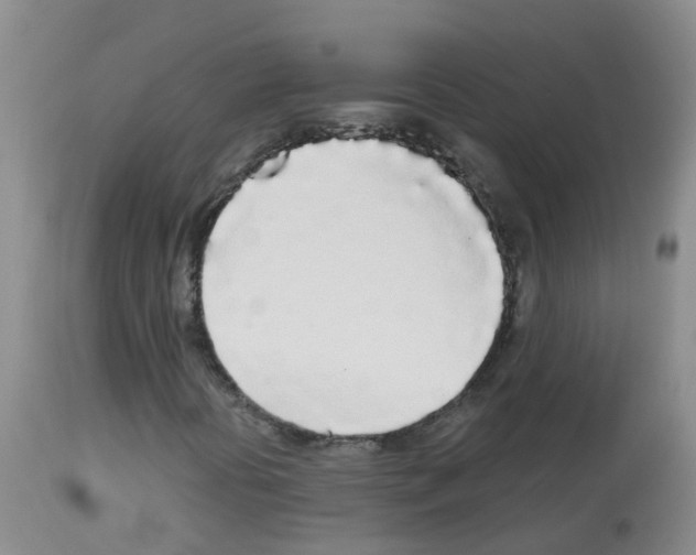 X0000113081394200910091220