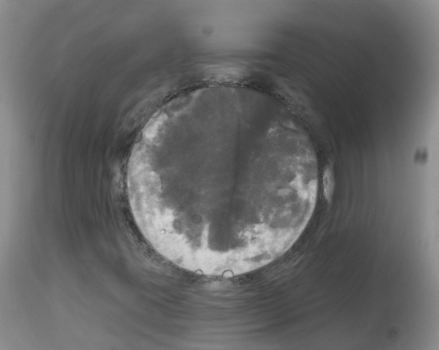 X0000113081395200910091220