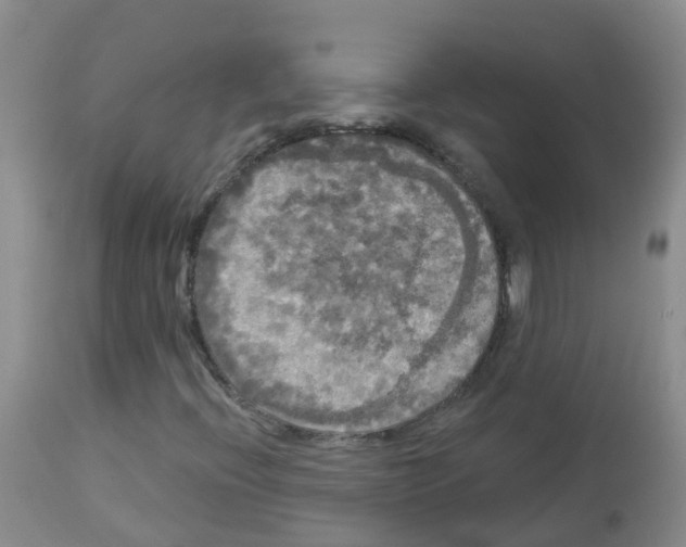 X0000113081396200910091220