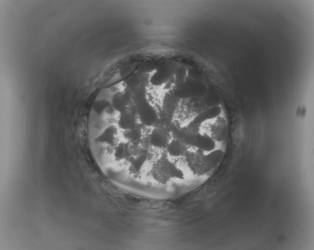 X0000113081397200910091220