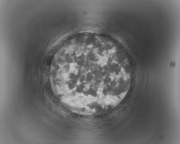 X0000113081399200910091220