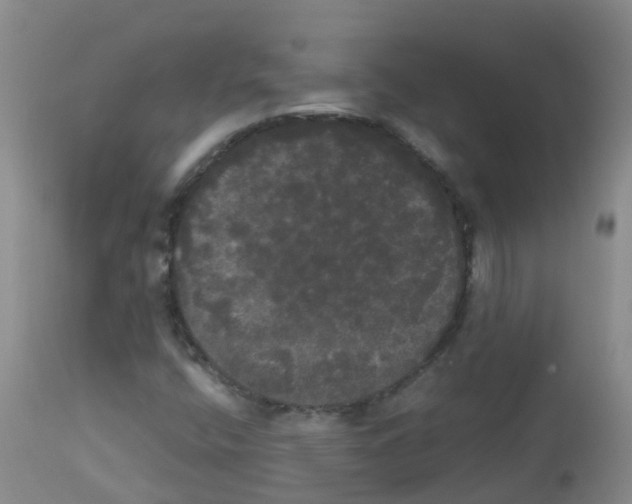 X0000113081400200910091220