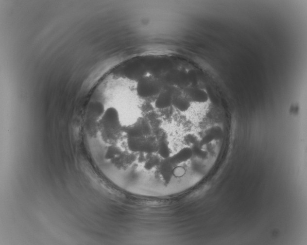 X0000113081401200910091220