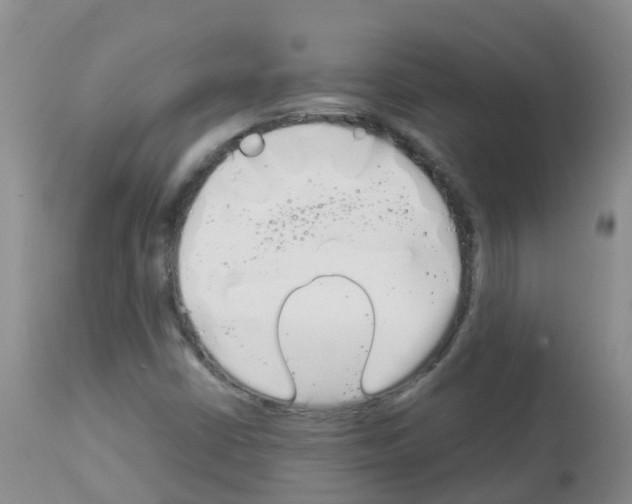 X0000113081402200910091220