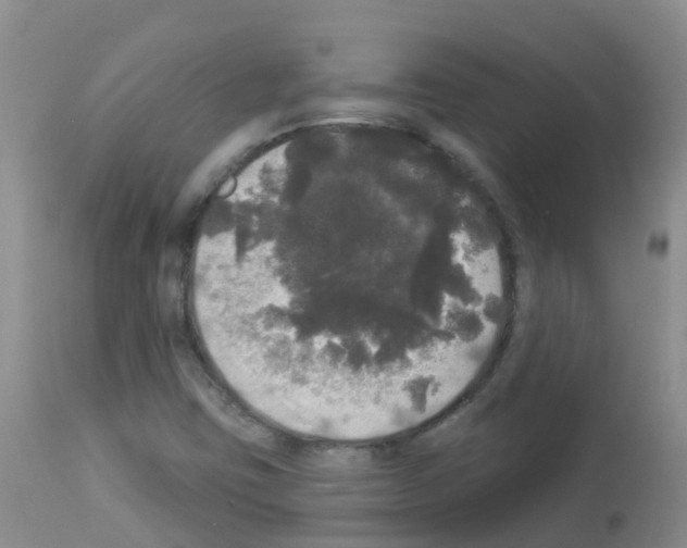 X0000113081403200910091220