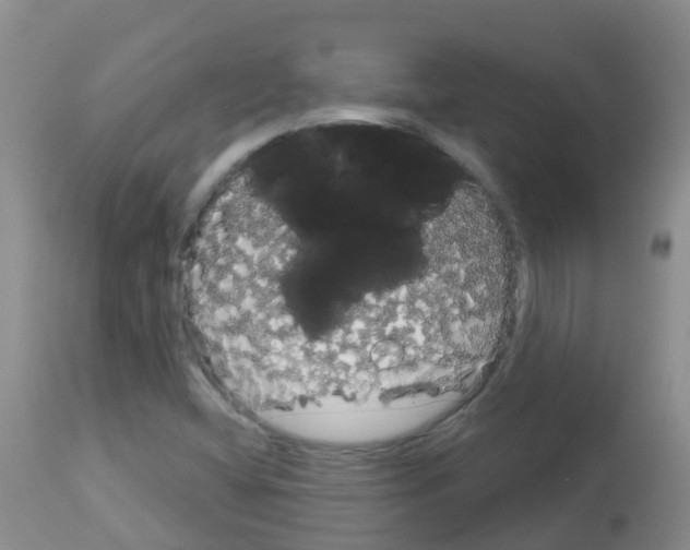 X0000113081404200910091220