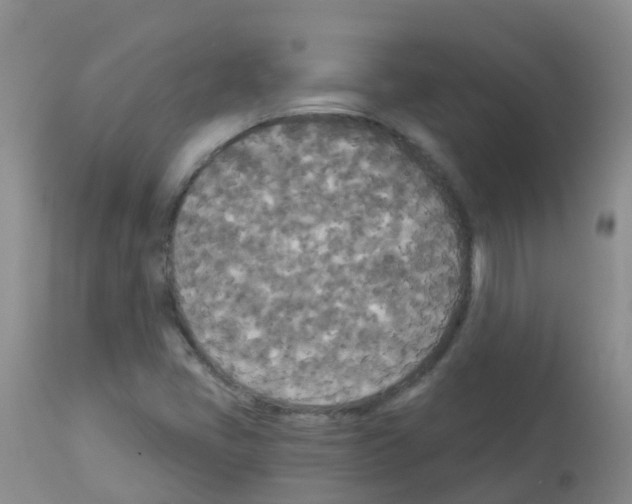 X0000113081405200910091220