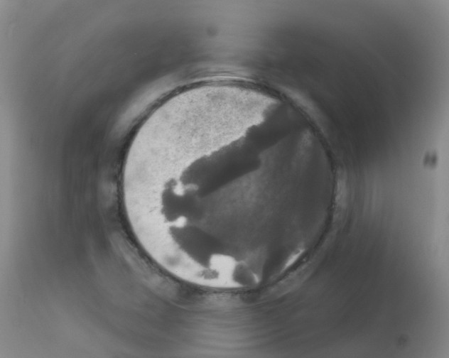 X0000113081407200910091220