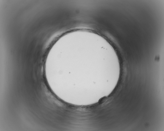 X0000113081408200910091220