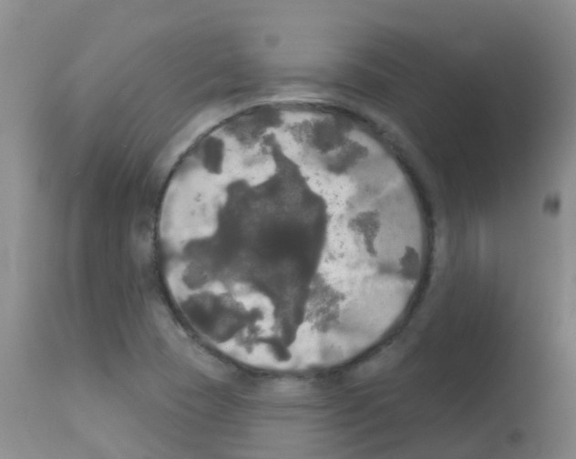 X0000113081409200910091220