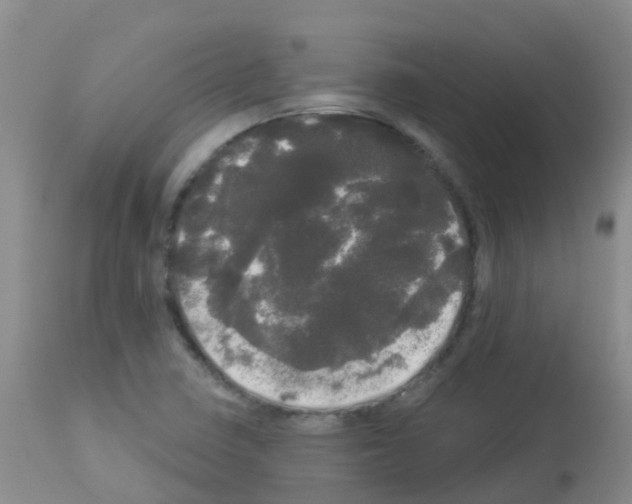 X0000113081410200910091220