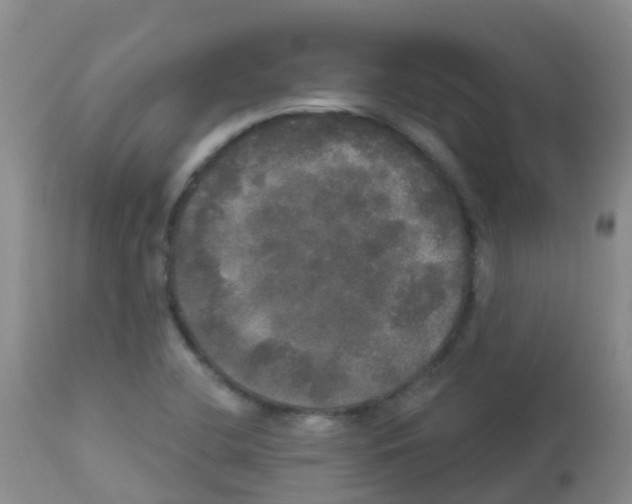 X0000113081412200910091220