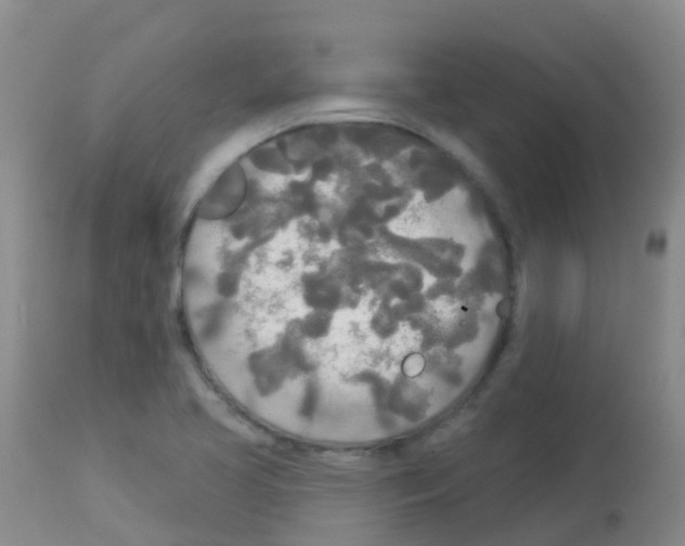 X0000113081413200910091220