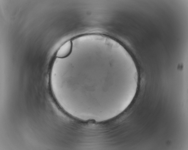 X0000113081414200910091221