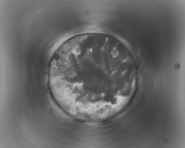 X0000113081415200910091221