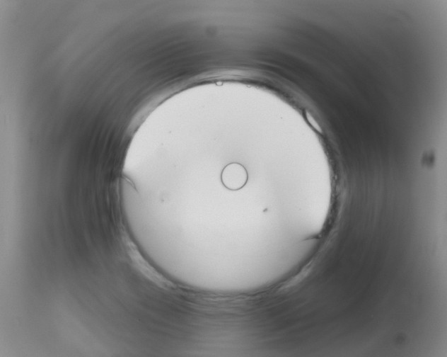 X0000113081417200910091221