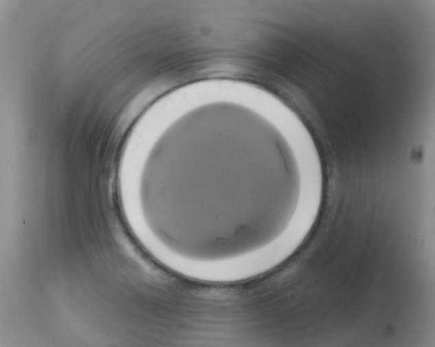 X0000113081418200910091221