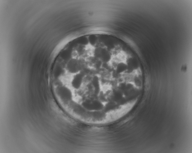 X0000113081419200910091221