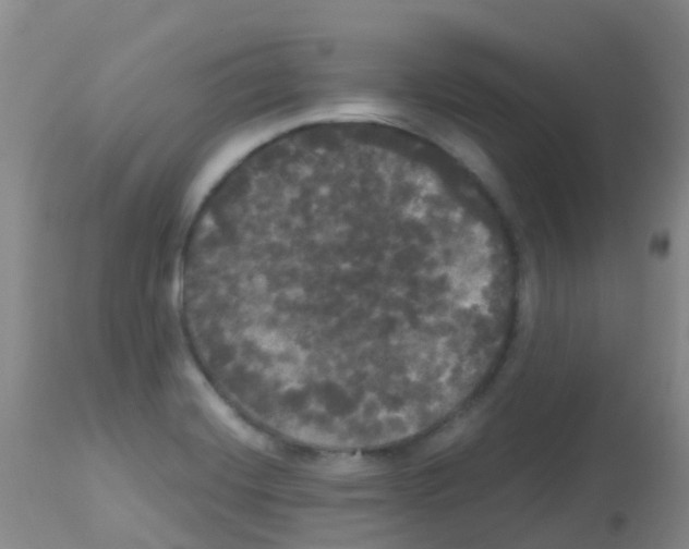 X0000113081420200910091221