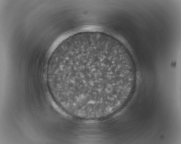 X0000113081421200910091221