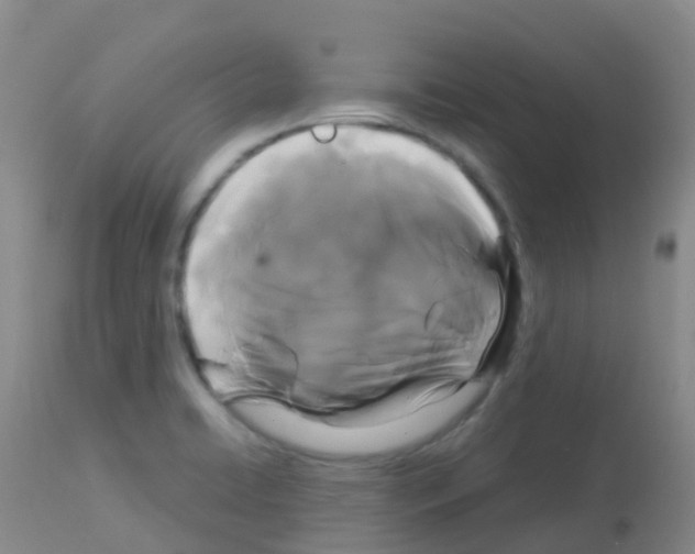 X0000113081422200910091221