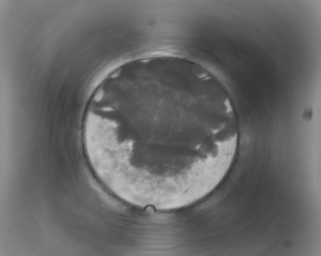 X0000113081423200910091221