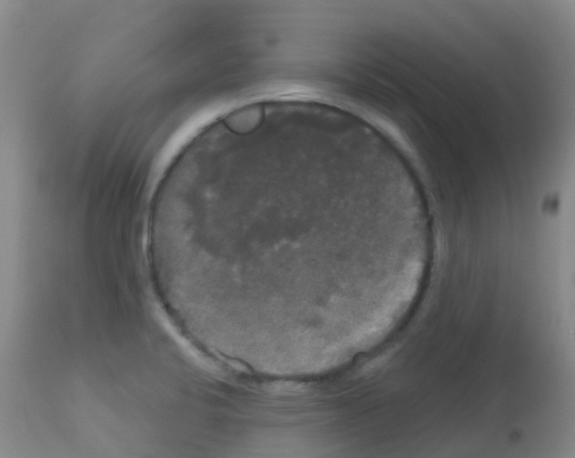 X0000113081424200910091221