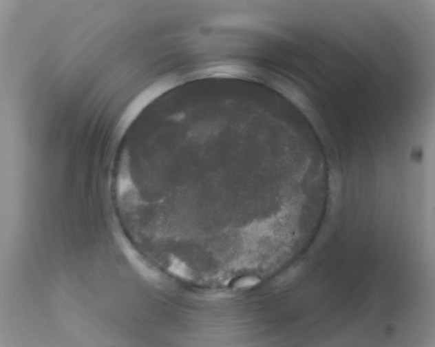X0000113081426200910091221