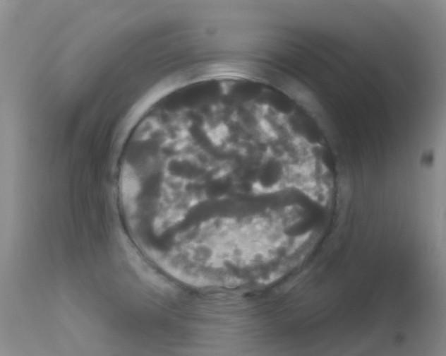 X0000113081427200910091221