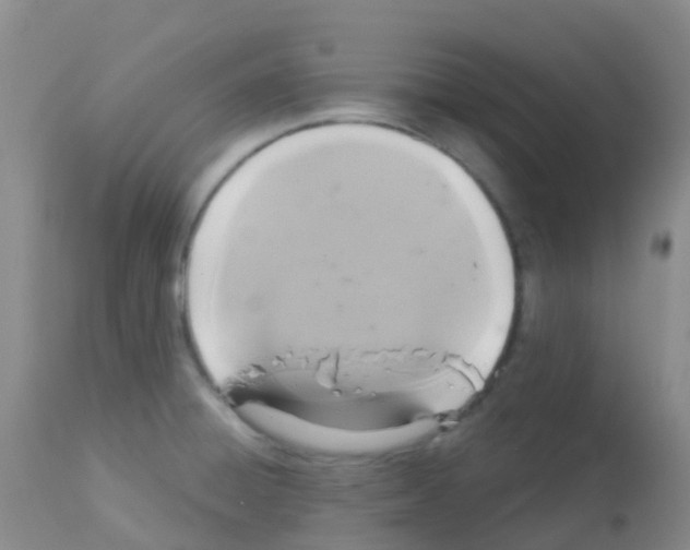 X0000113081428200910091221