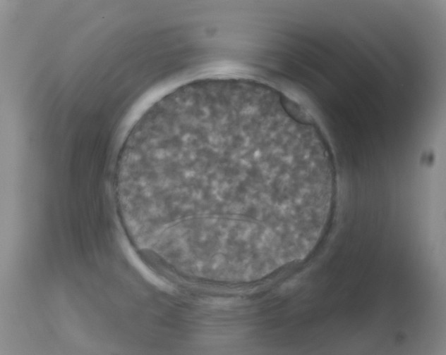 X0000113081429200910091221