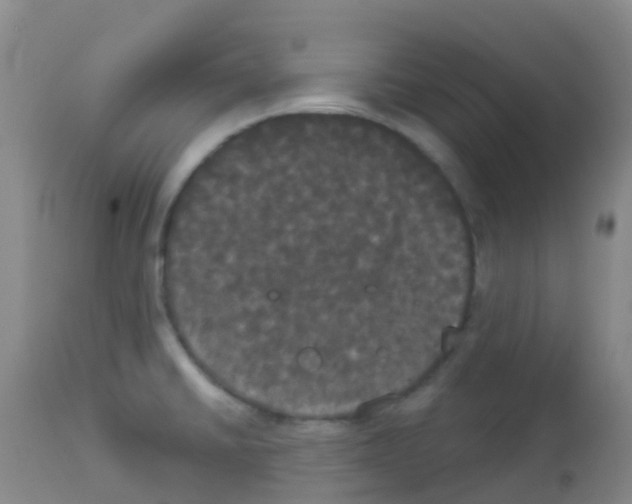 X0000113081430200910091221