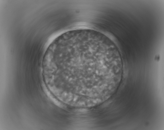 X0000113081431200910091221