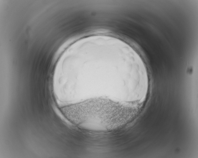 X0000113081432200910091221