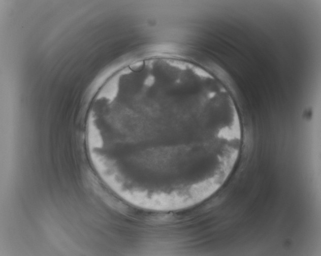 X0000113081435200910091221