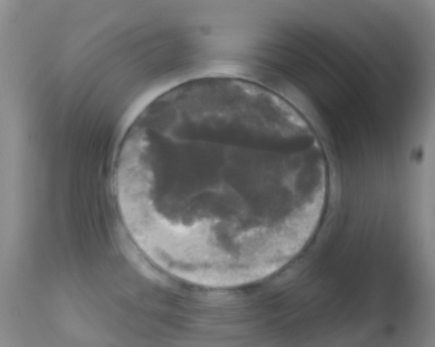 X0000113081436200910091221