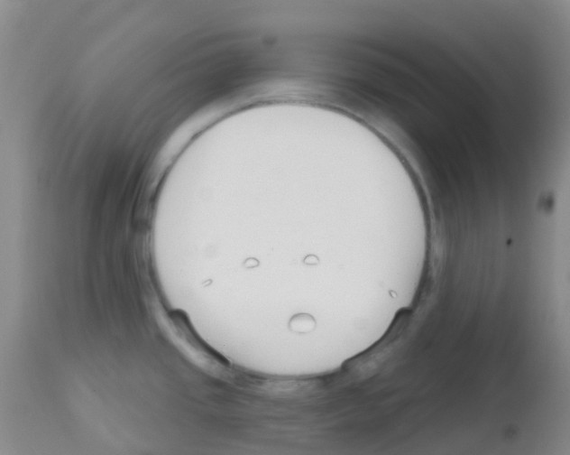 X0000113081437200910091221