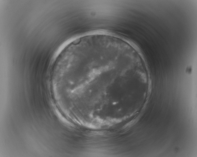 X0000113081438200910091221