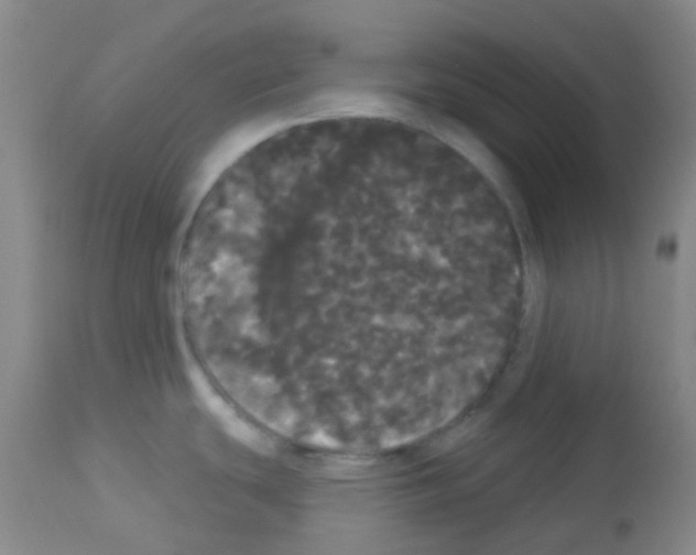 X0000113081439200910091221