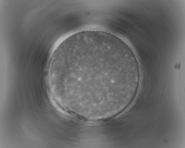 X0000113081440200910091221